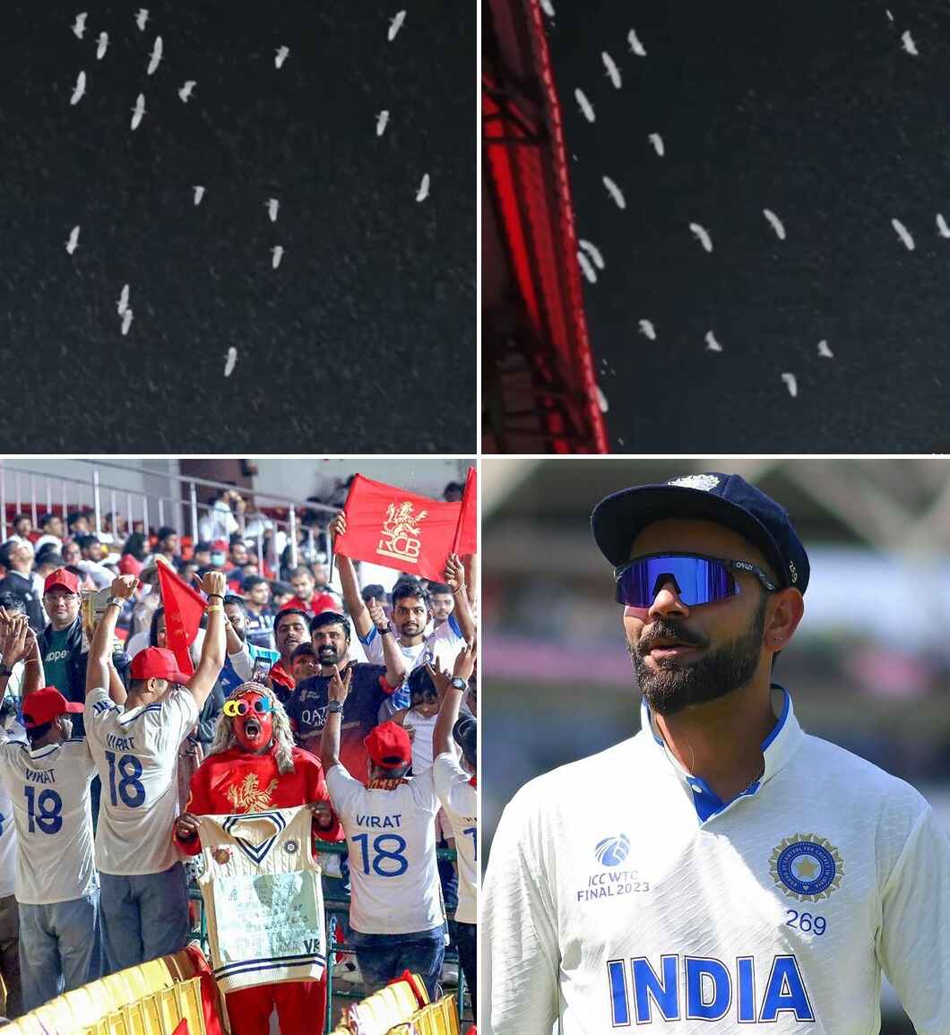 Virat Kohli’s Emotional Test Retirement 2025: Chinnaswamy Stadium Turns White During RCB vs KKR match – End of an Era